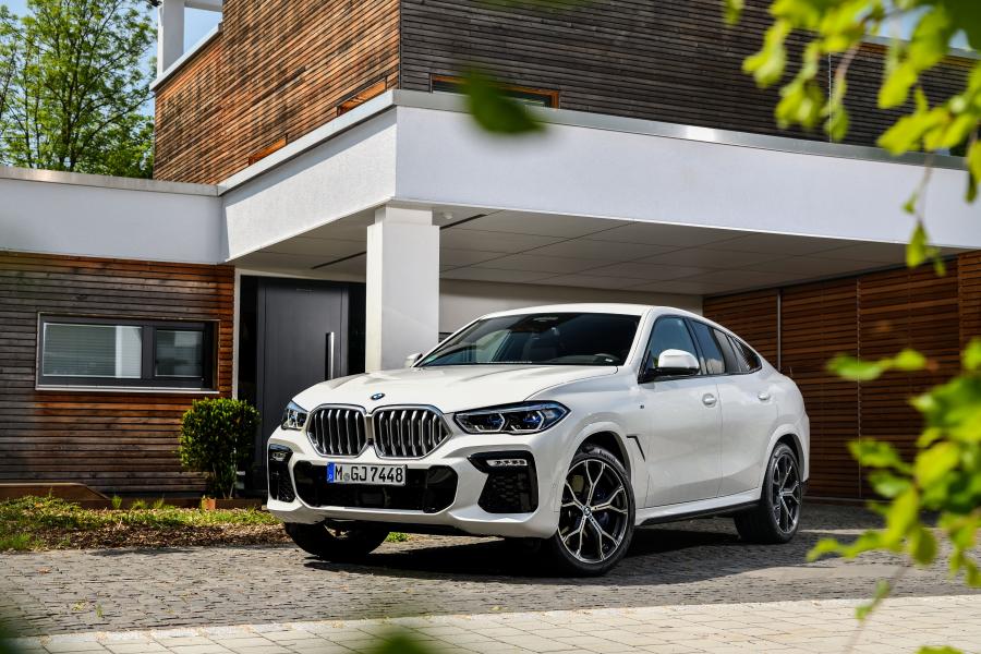  BMW X6 xDrive30d M Sport (G06) 2019 года  (WW) (фото 18 из 38)